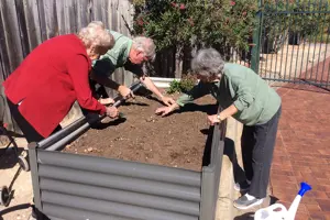 IMG_3254 - Copy-lifestyle_1016x677-WEB.JPG