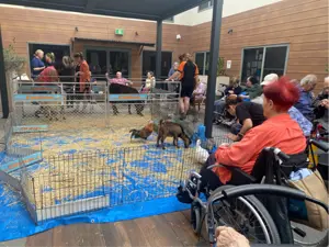 Bexley_farm animals.jpg