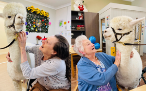 Camden - Visiting pets.png