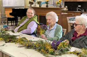 Daw Park Acitivies.png