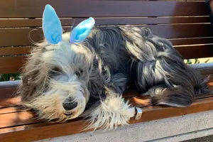 EH Gold Coast Fletcher-lifestyle_1016x677-WEB.JPEG