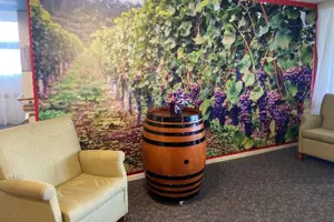 EH Gold Coast New Mural-lifestyle_1016x677-WEB.jpg